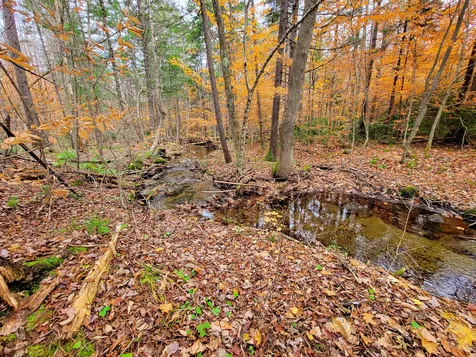 90 Greens Road Groton VT 05046