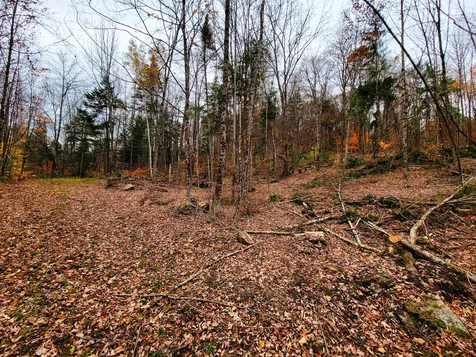 90 Greens Road Groton VT 05046