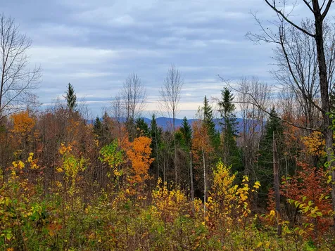 90 Greens Road Groton VT 05046