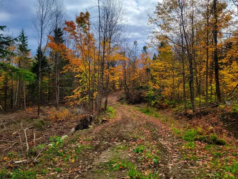 90 Greens Road Groton VT 05046