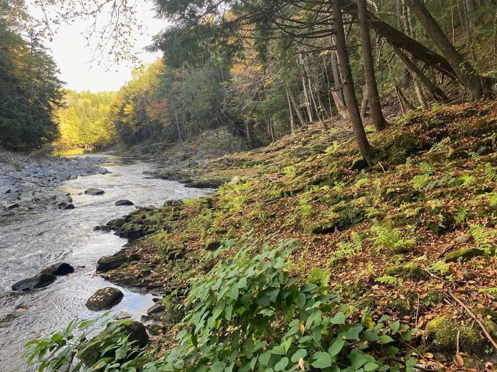 1457 Rockingham Road Rockingham VT 05101