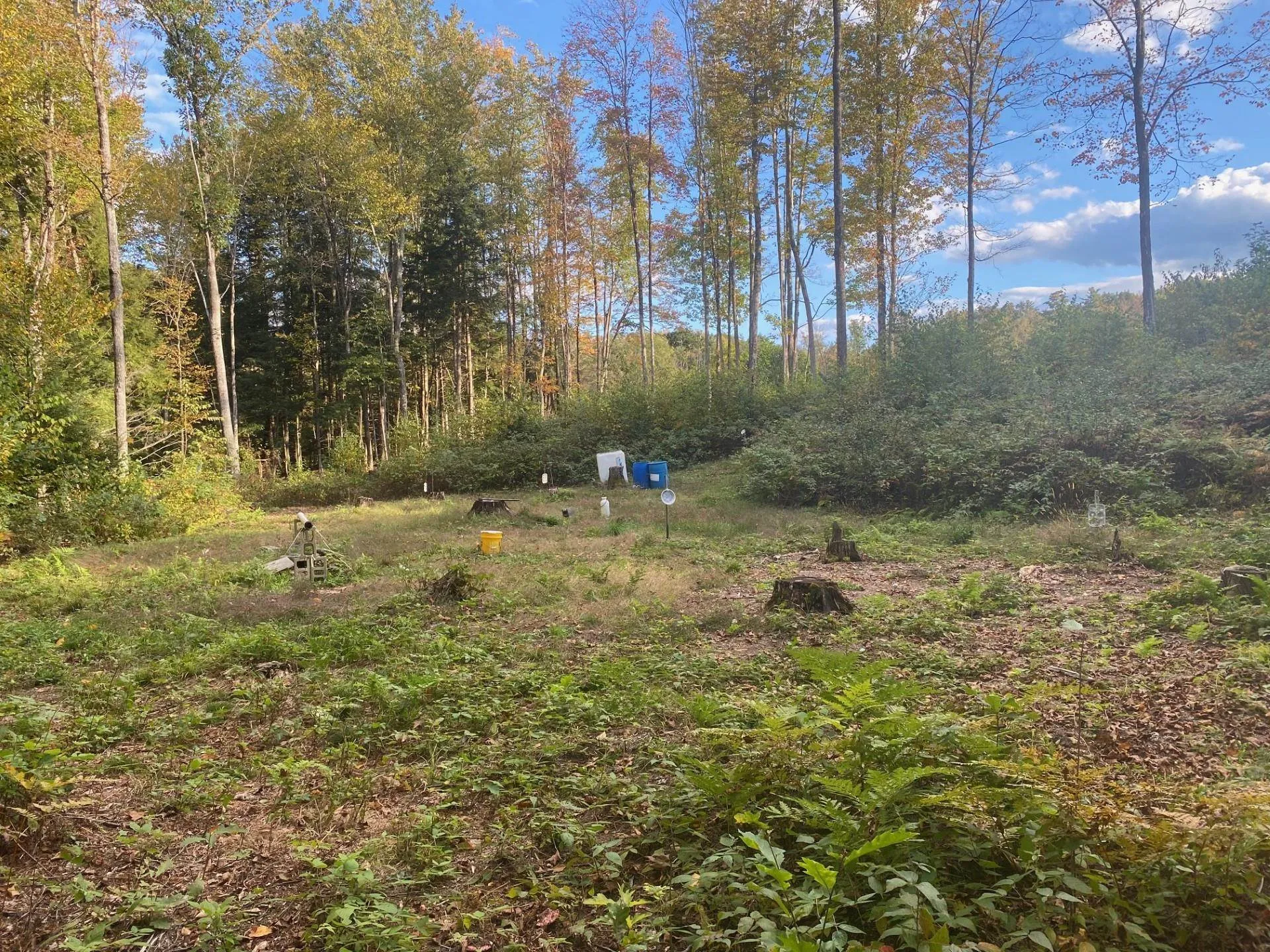 1457 Rockingham Road Rockingham VT 05101