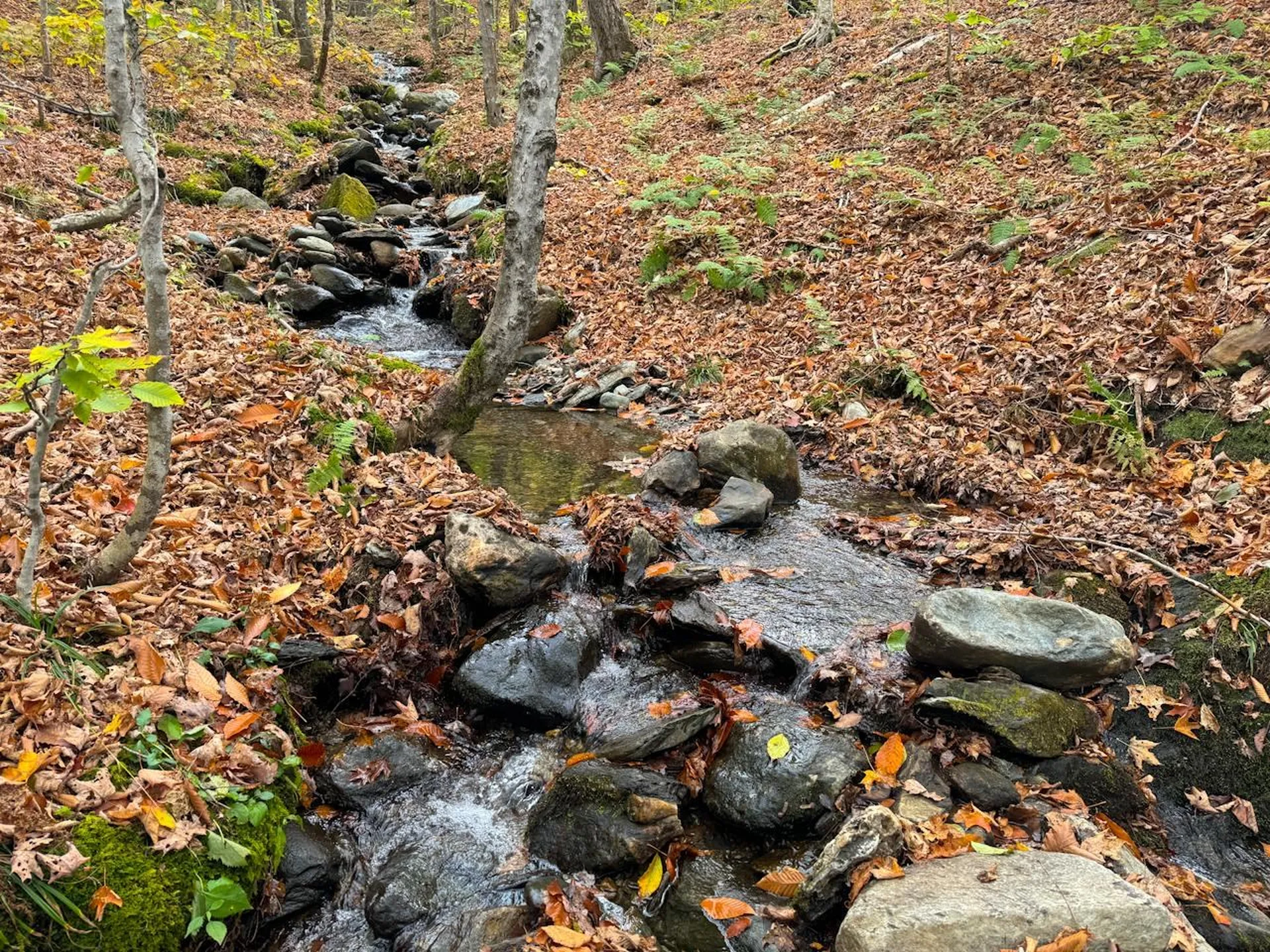 0 Cider Mountain Road Warren VT 05674