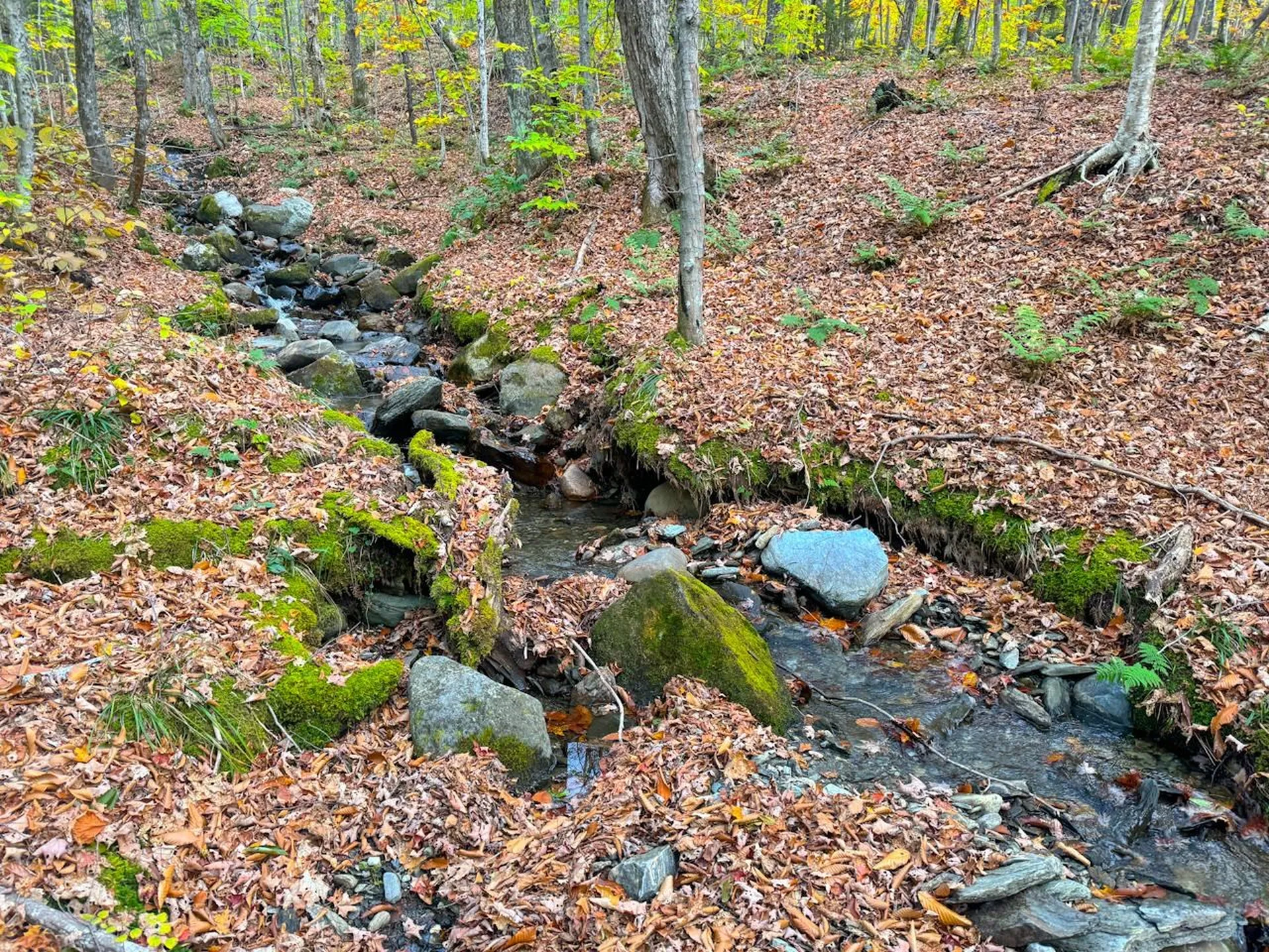 0 Cider Mountain Road Warren VT 05674