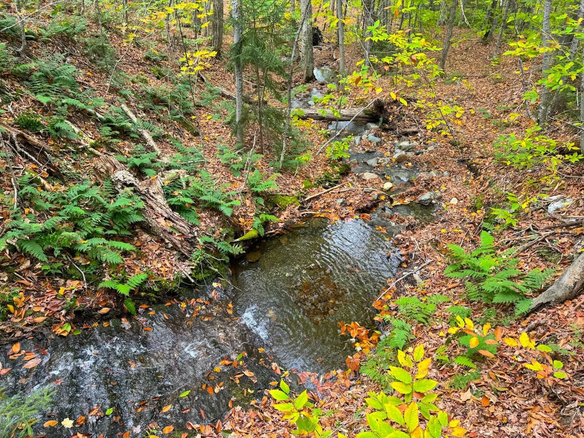 0 Cider Mountain Road Warren VT 05674