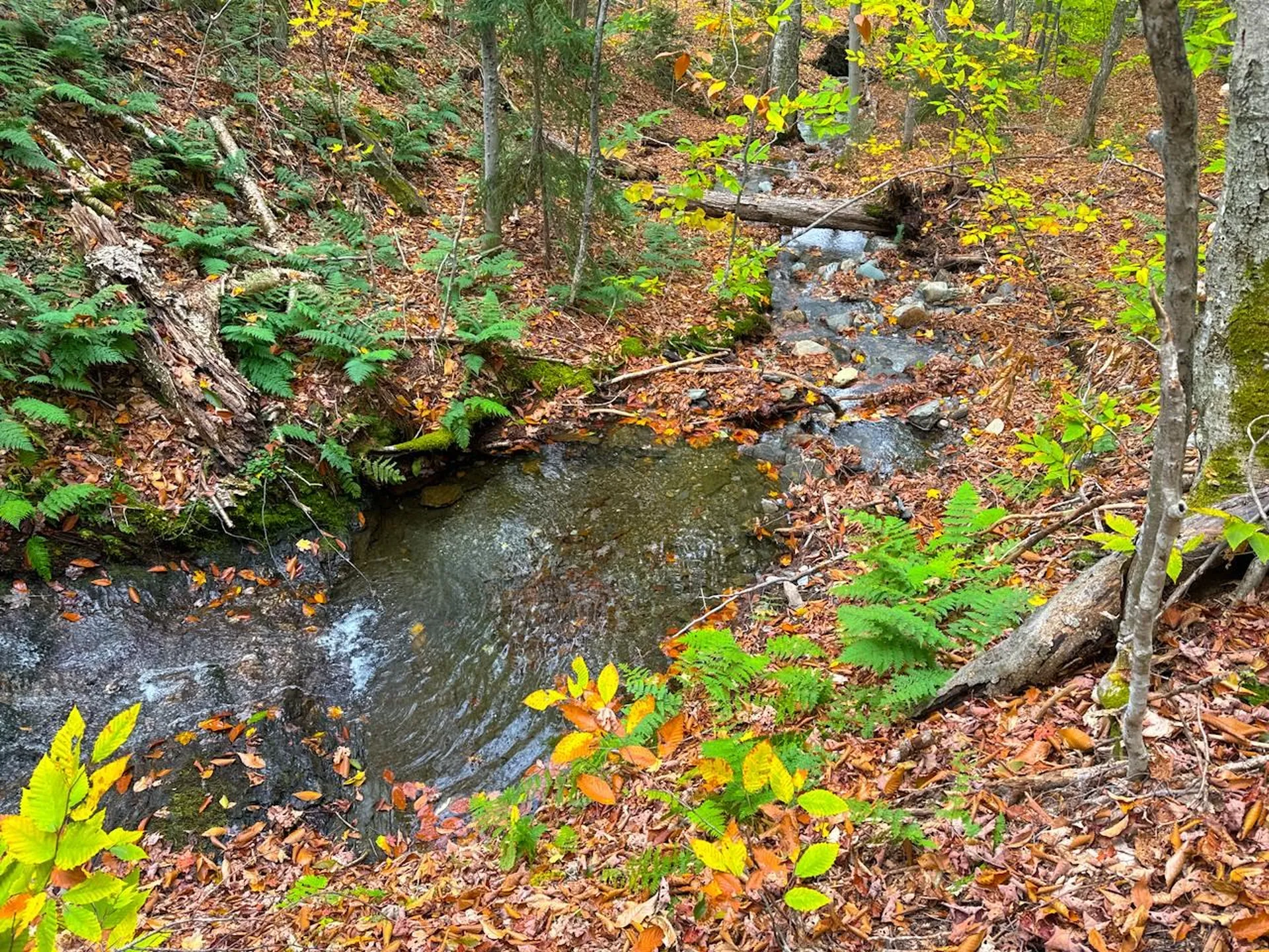 0 Cider Mountain Road Warren VT 05674