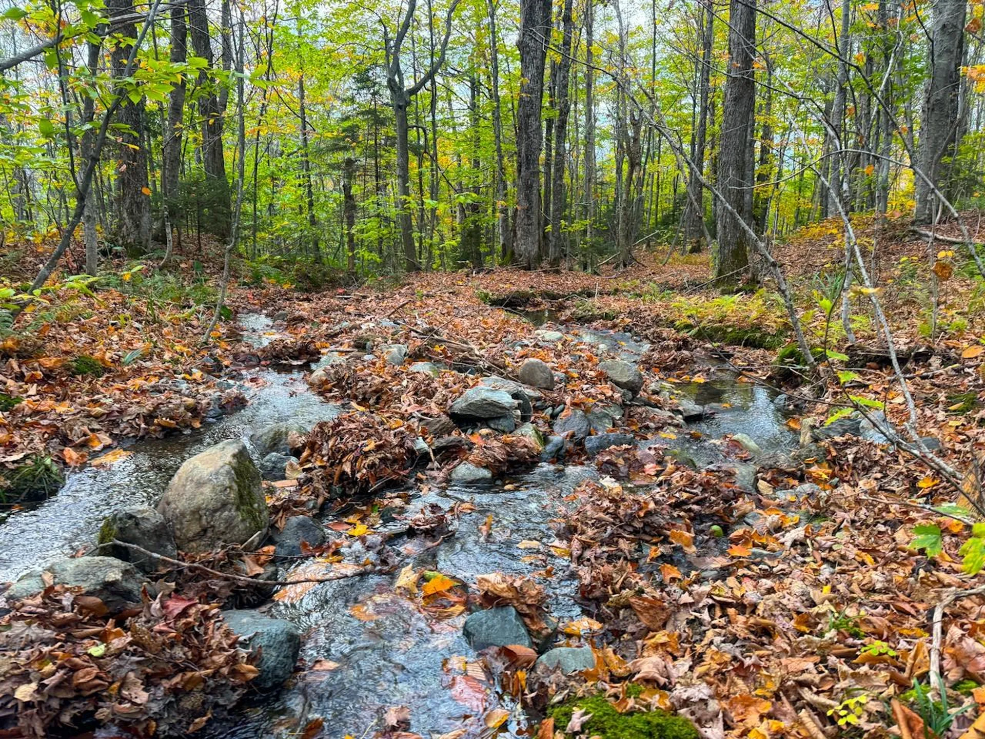 0 Cider Mountain Road Warren VT 05674