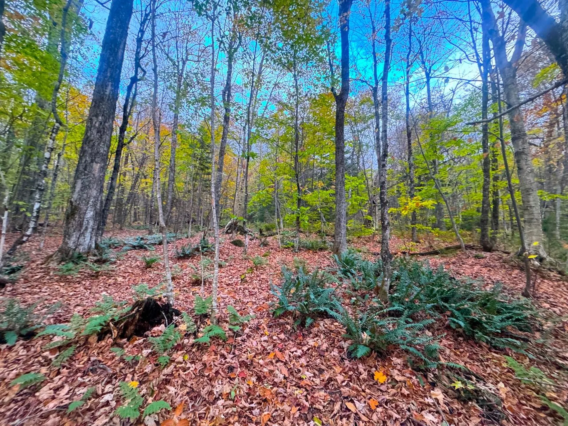 0 Cider Mountain Road Warren VT 05674