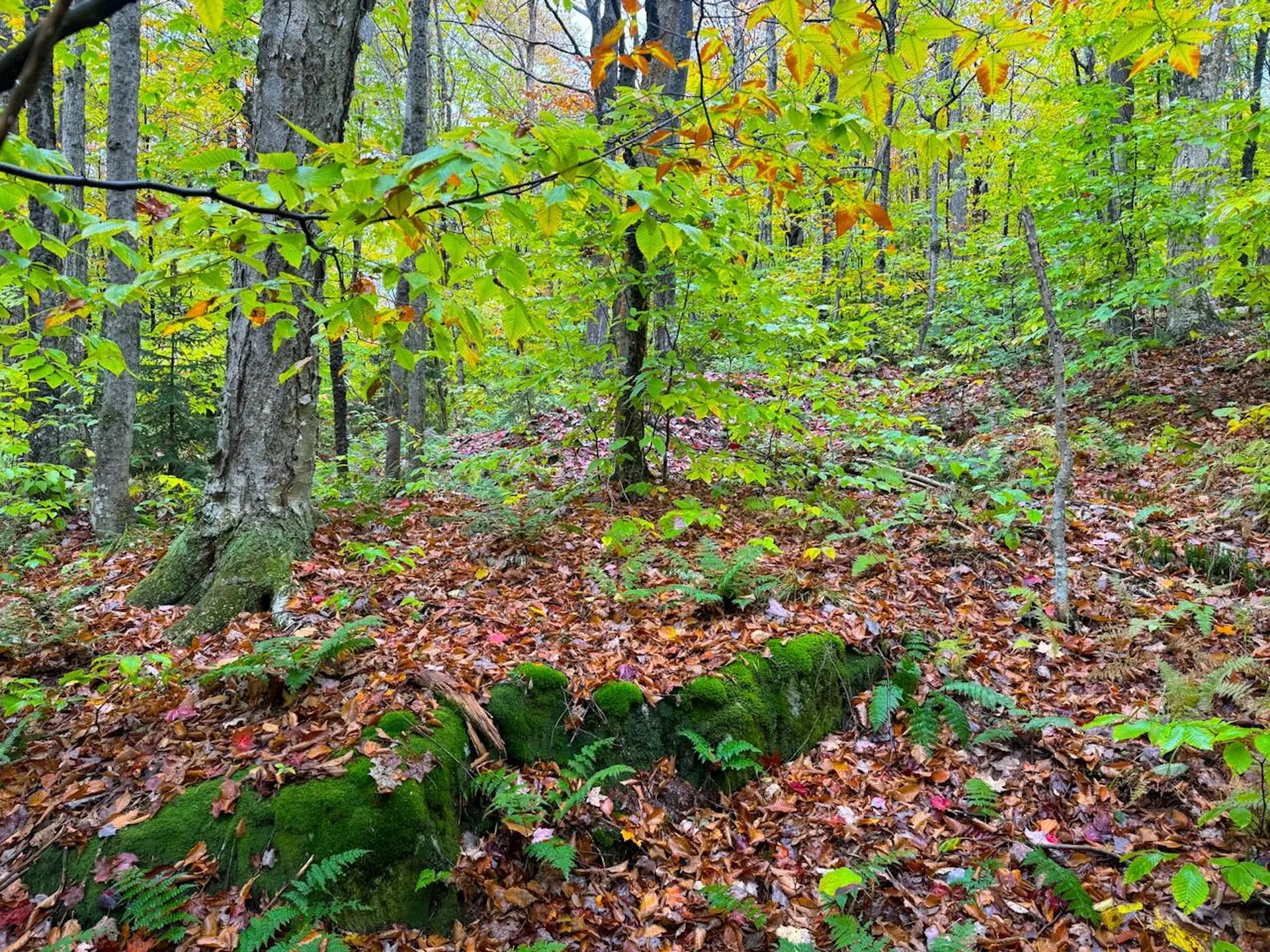 0 Cider Mountain Road Warren VT 05674