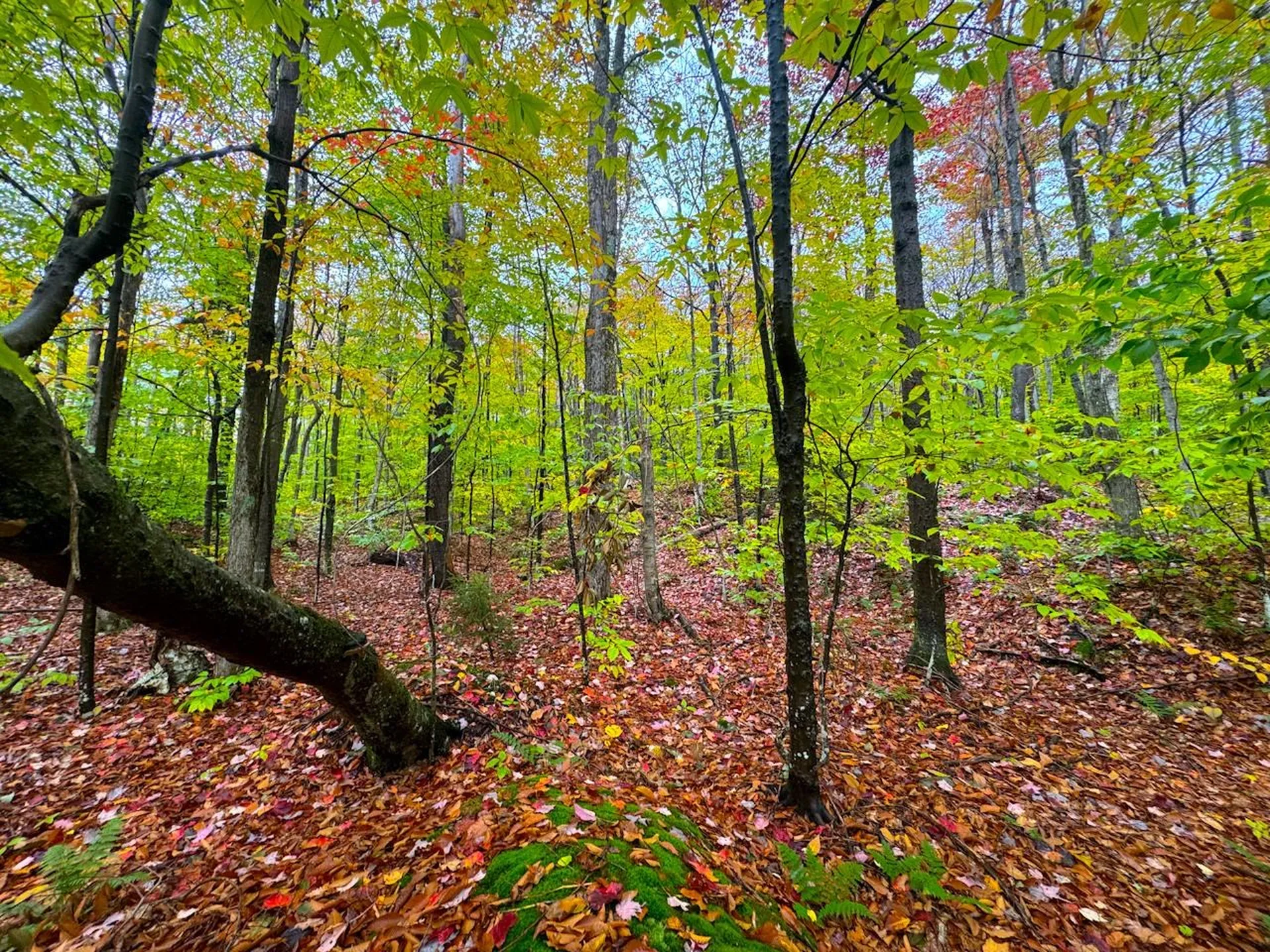 0 Cider Mountain Road Warren VT 05674