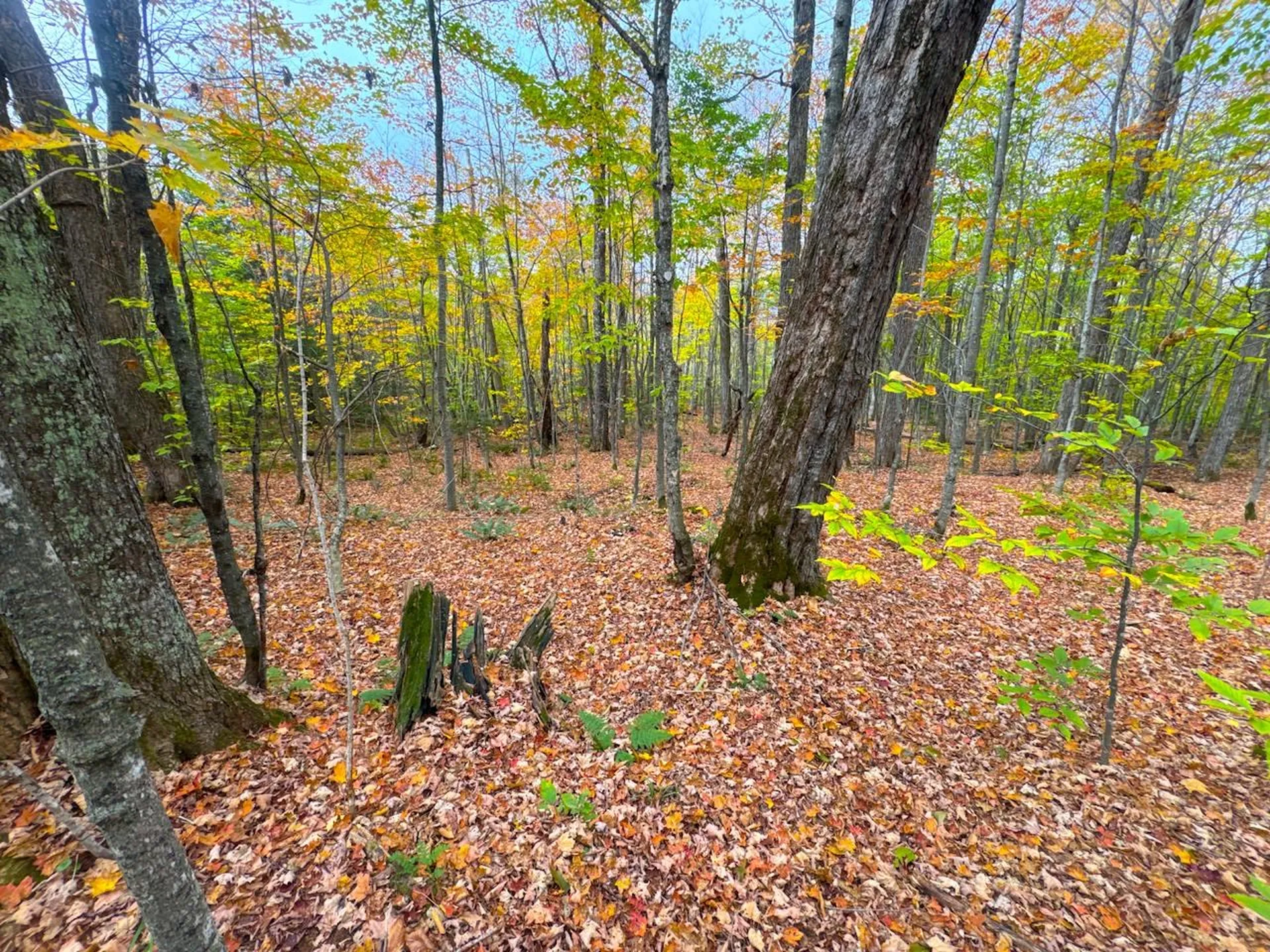 0 Cider Mountain Road Warren VT 05674