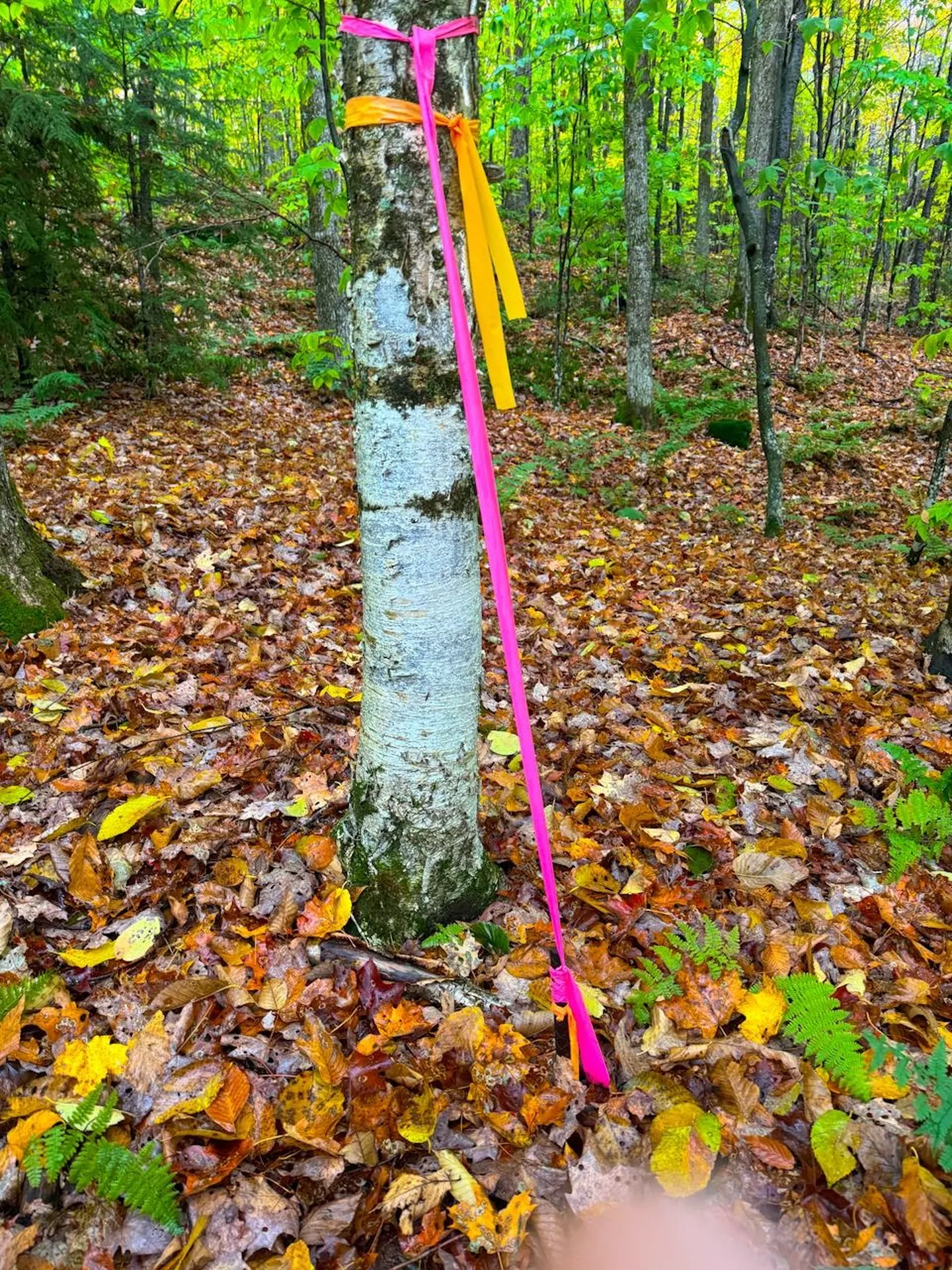 0 Cider Mountain Road Warren VT 05674