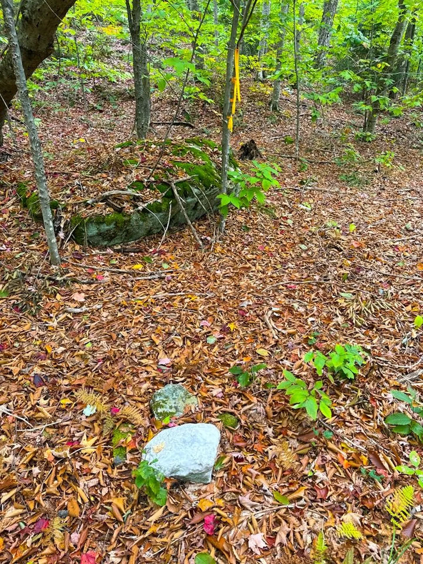 0 Cider Mountain Road Warren VT 05674