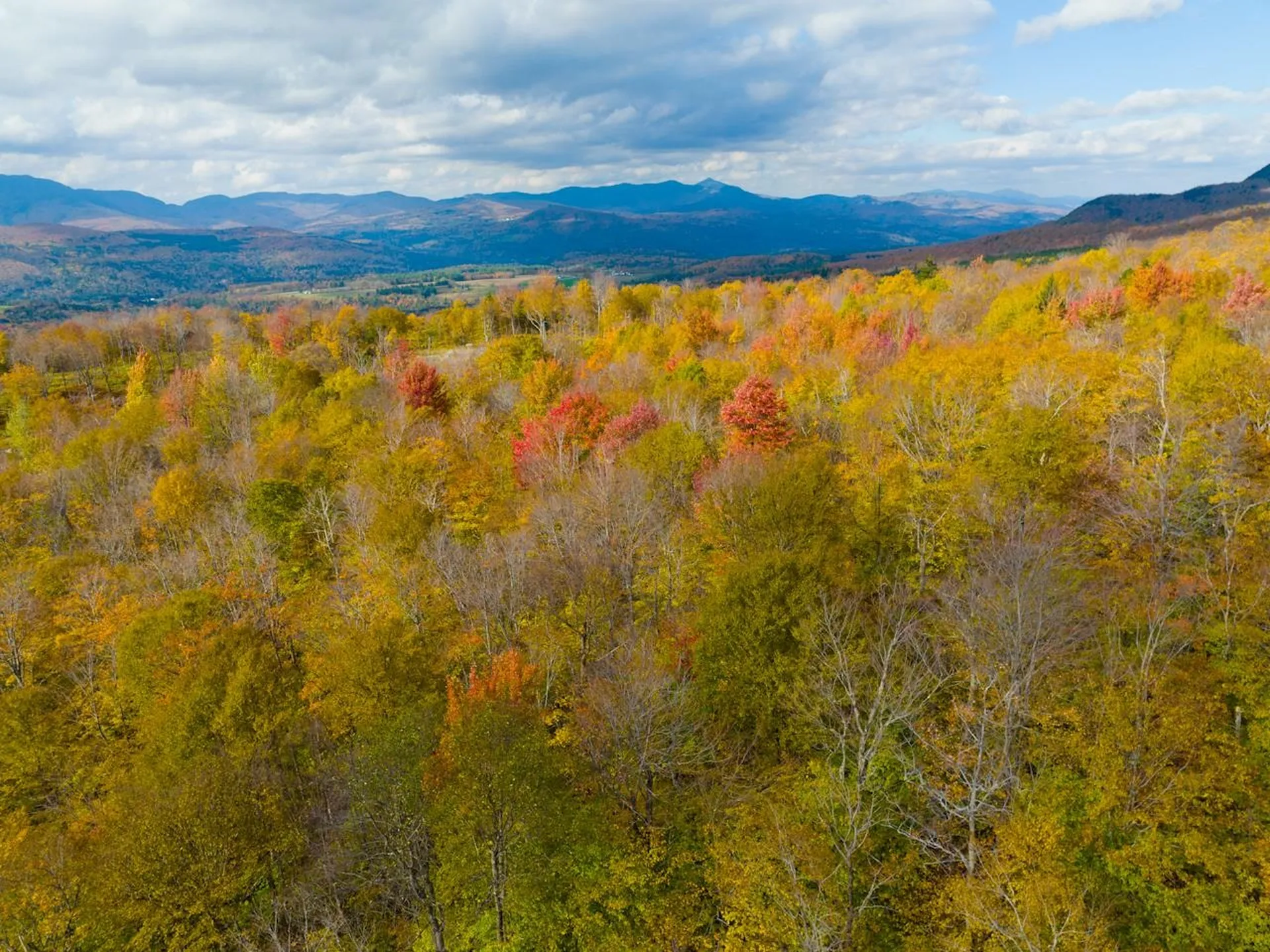 0 Cider Mountain Road Warren VT 05674
