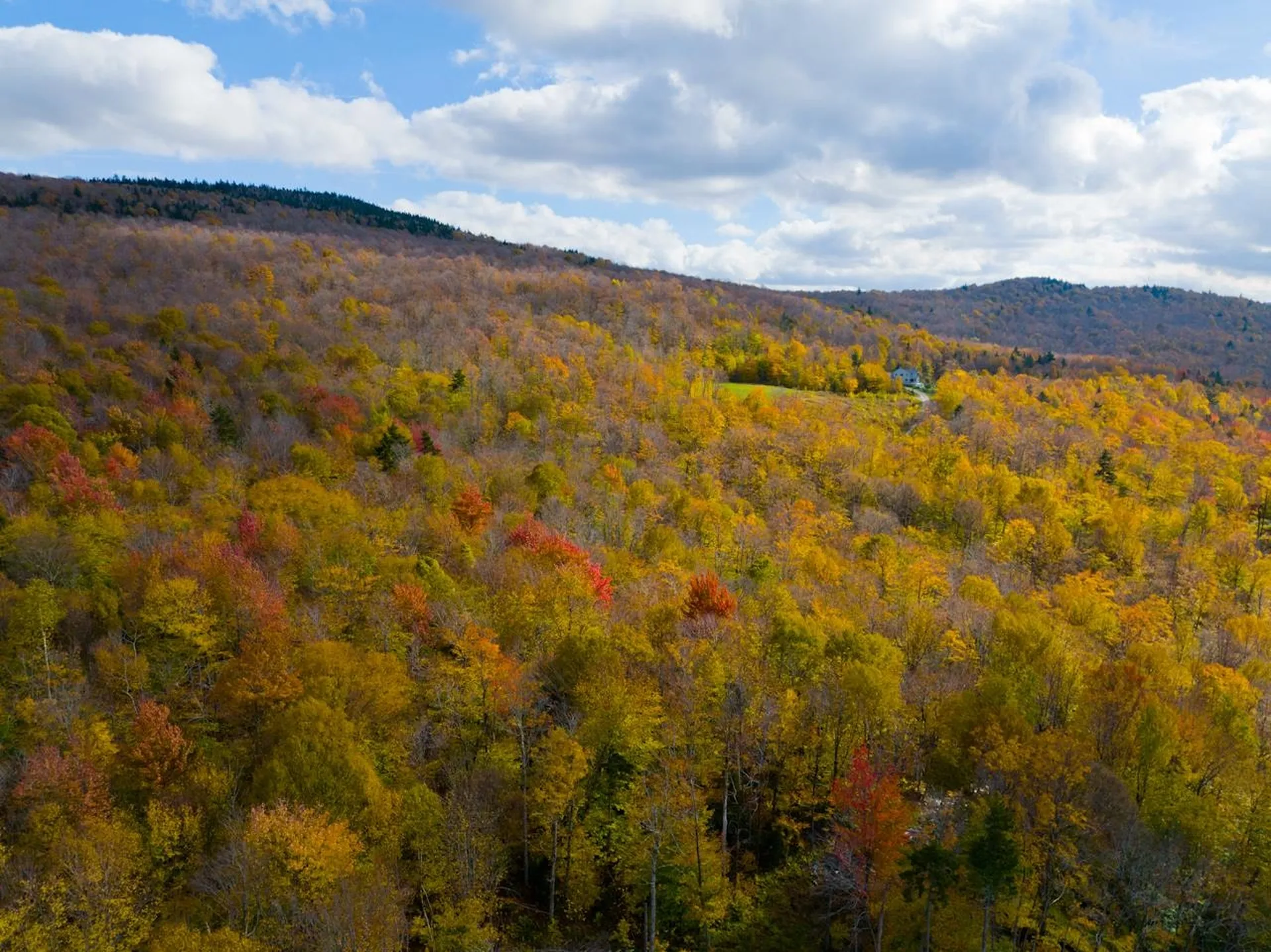 0 Cider Mountain Road Warren VT 05674