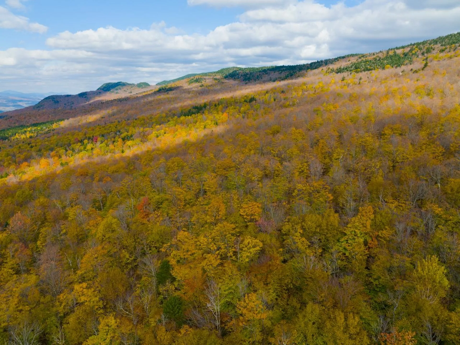 0 Cider Mountain Road Warren VT 05674