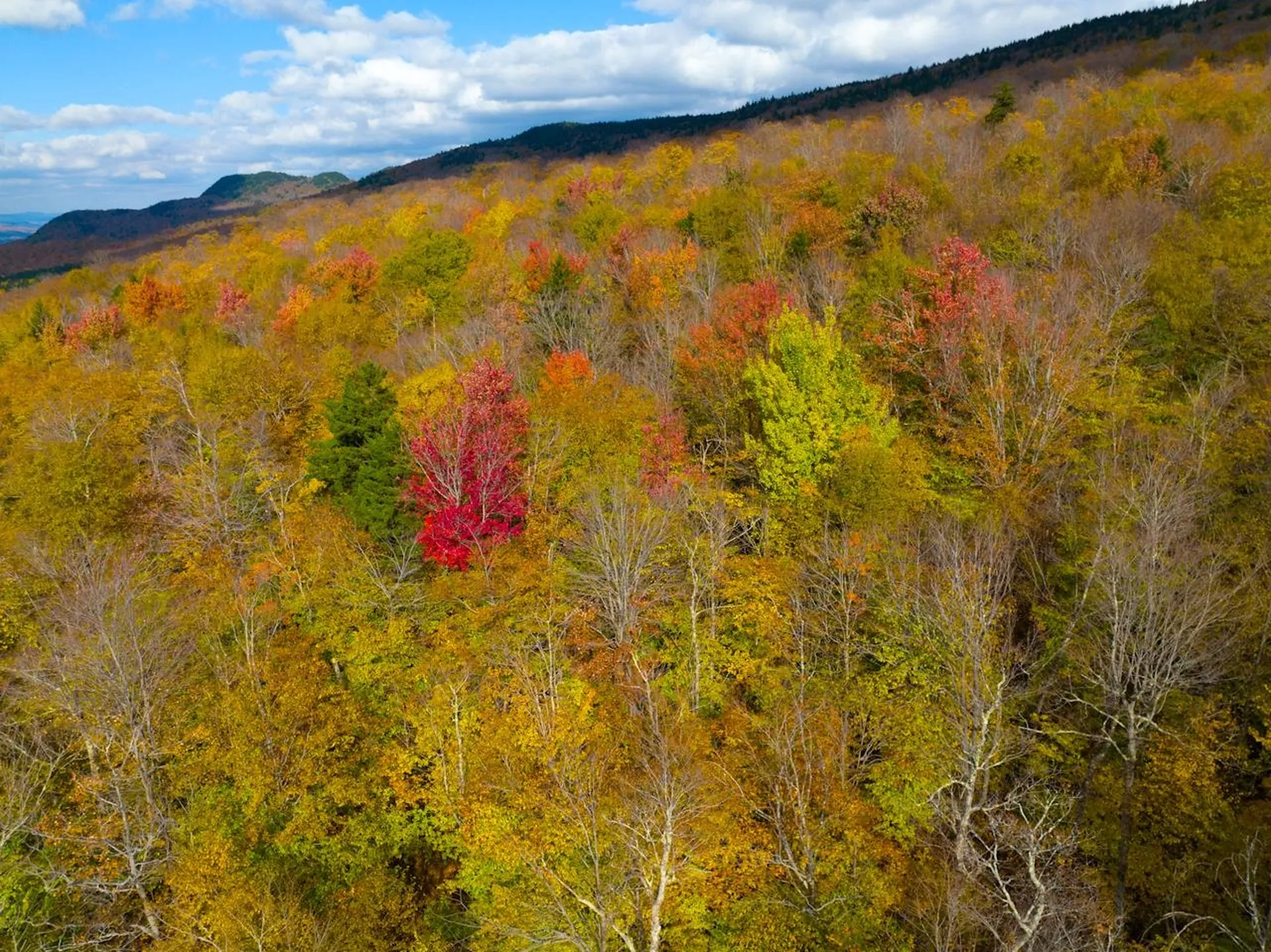 0 Cider Mountain Road Warren VT 05674