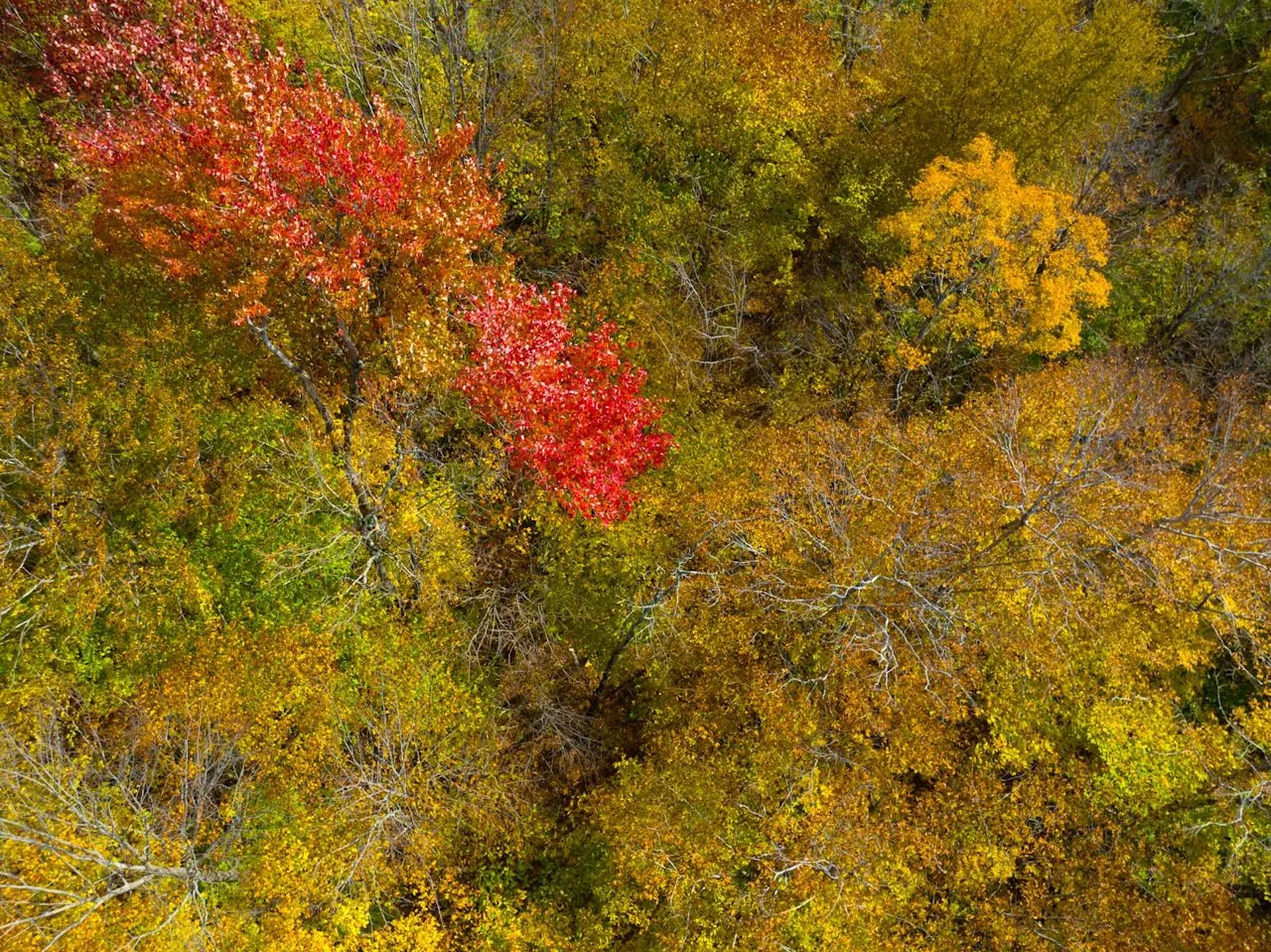 0 Cider Mountain Road Warren VT 05674