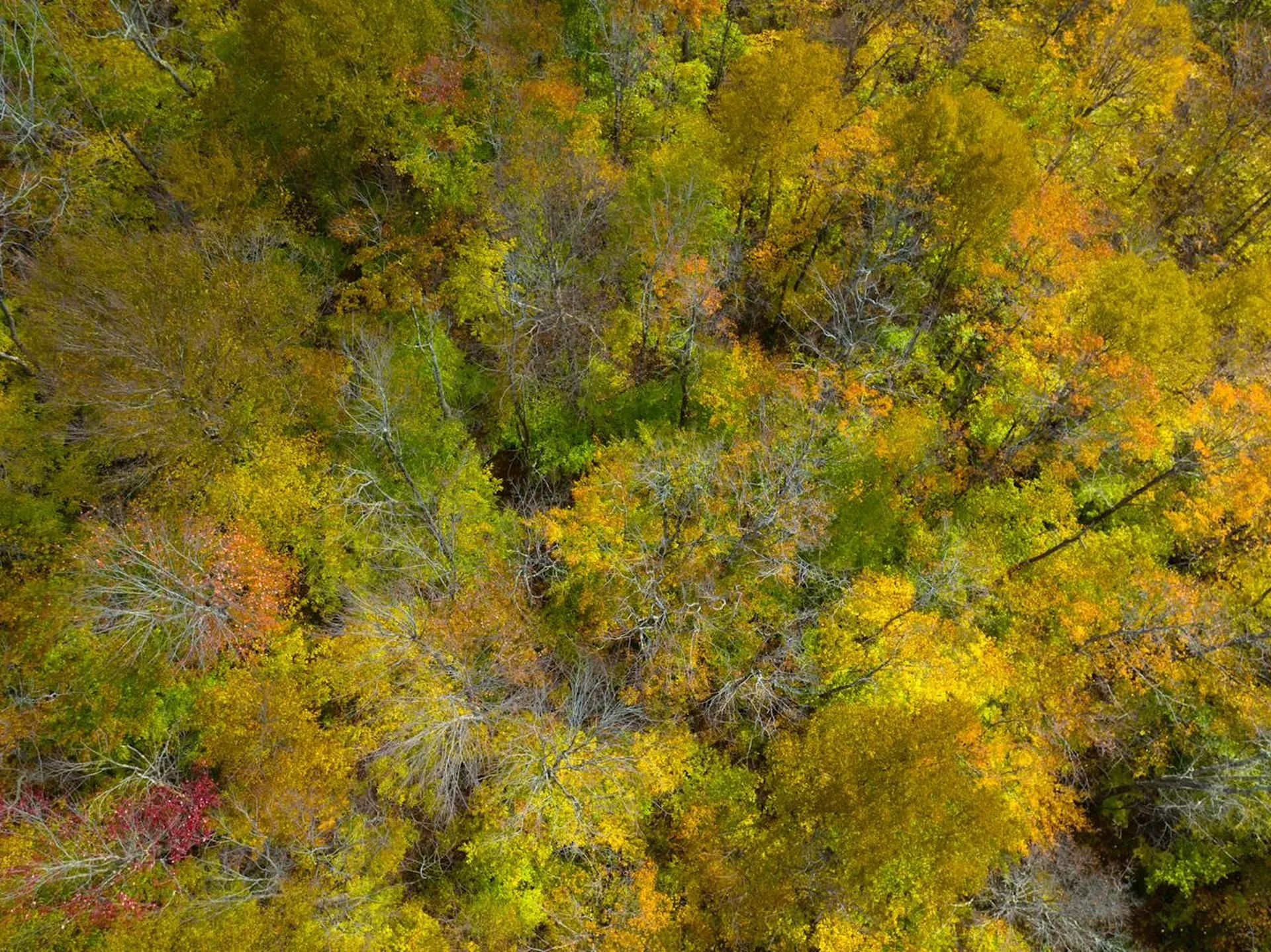 0 Cider Mountain Road Warren VT 05674