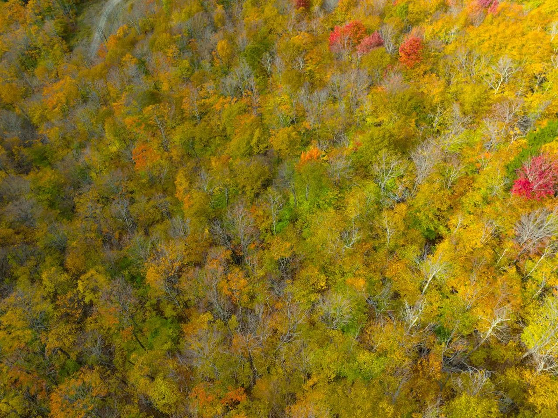 0 Cider Mountain Road Warren VT 05674