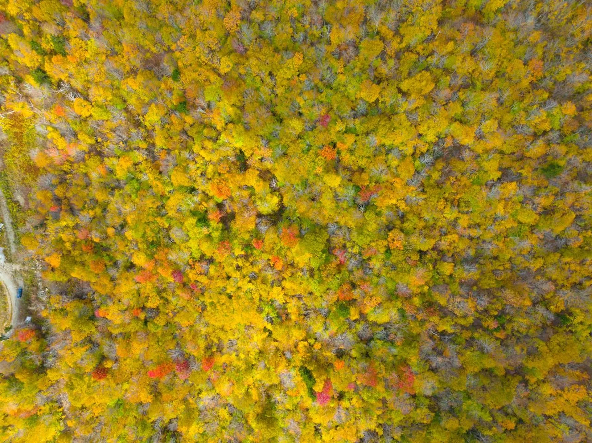 0 Cider Mountain Road Warren VT 05674