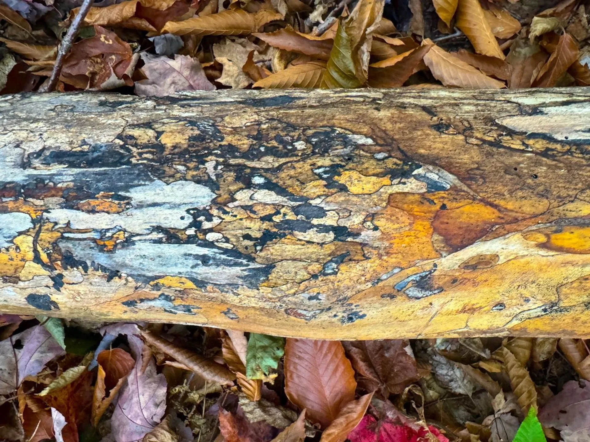 0 Cider Mountain Road Warren VT 05674