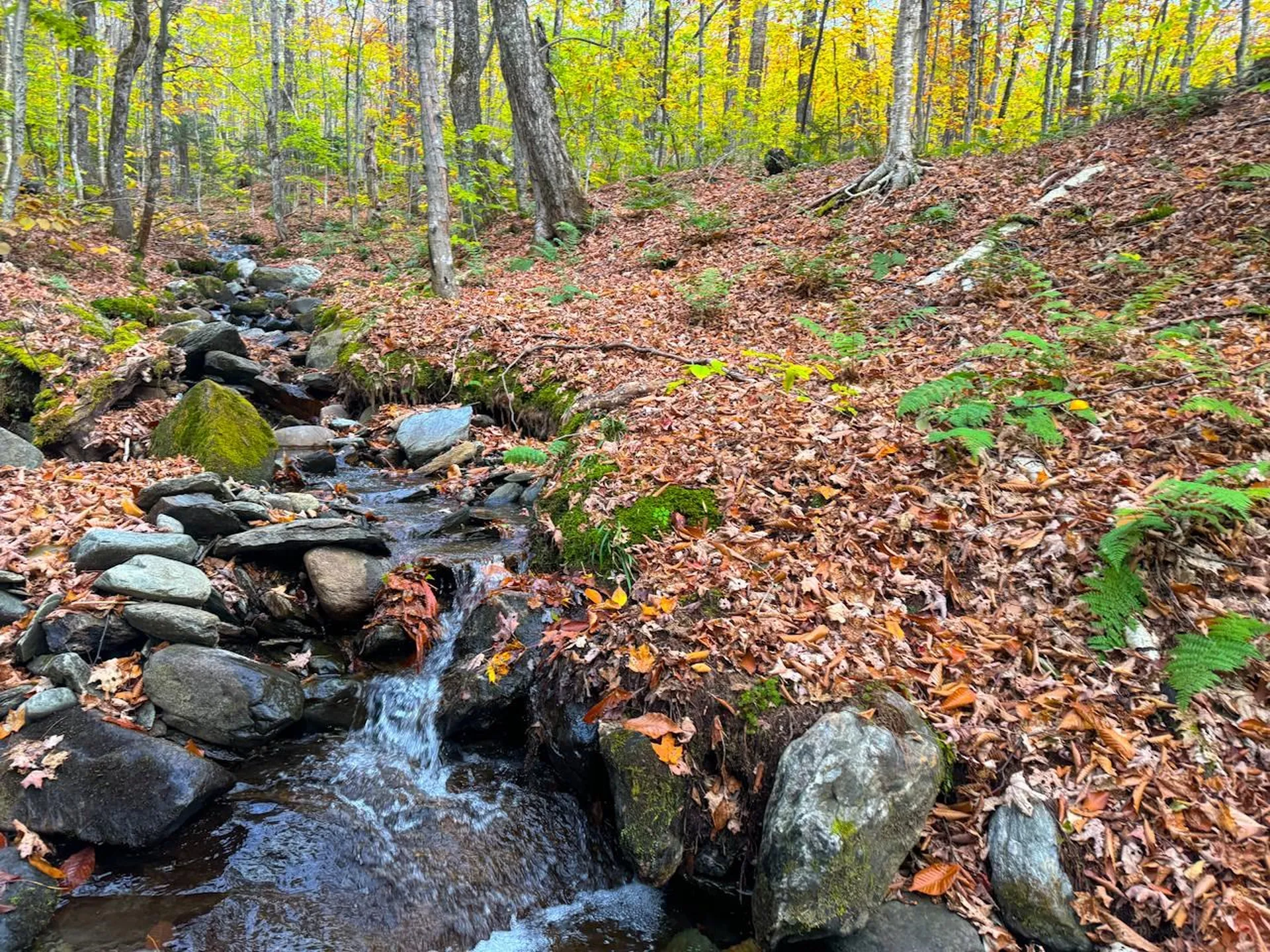 0 Cider Mountain Road Warren VT 05674