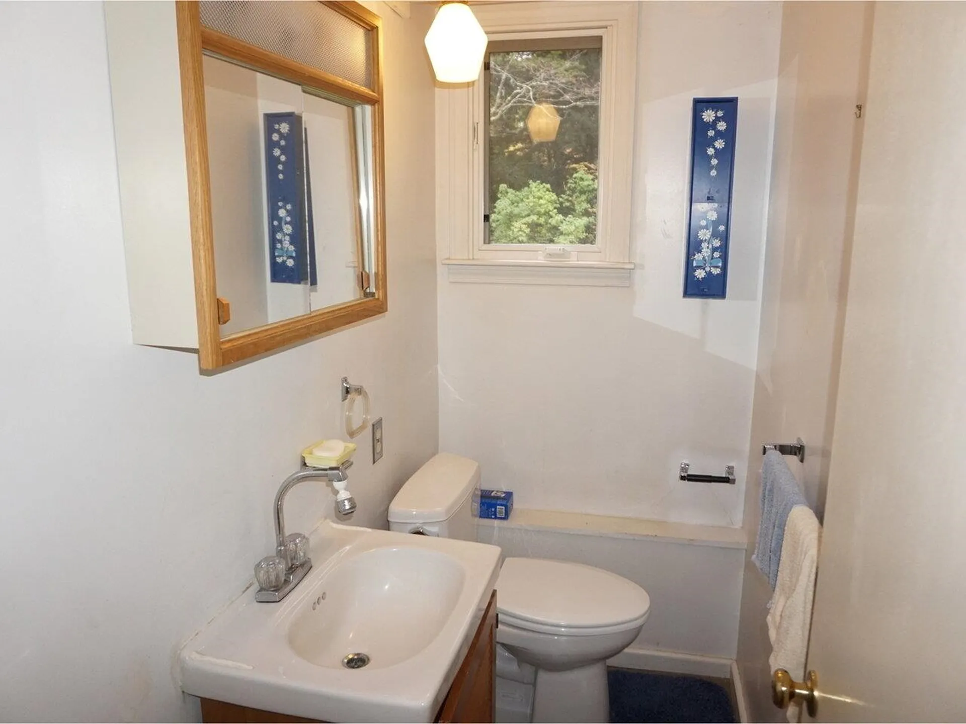 13 Deane Street South Burlington VT 05403