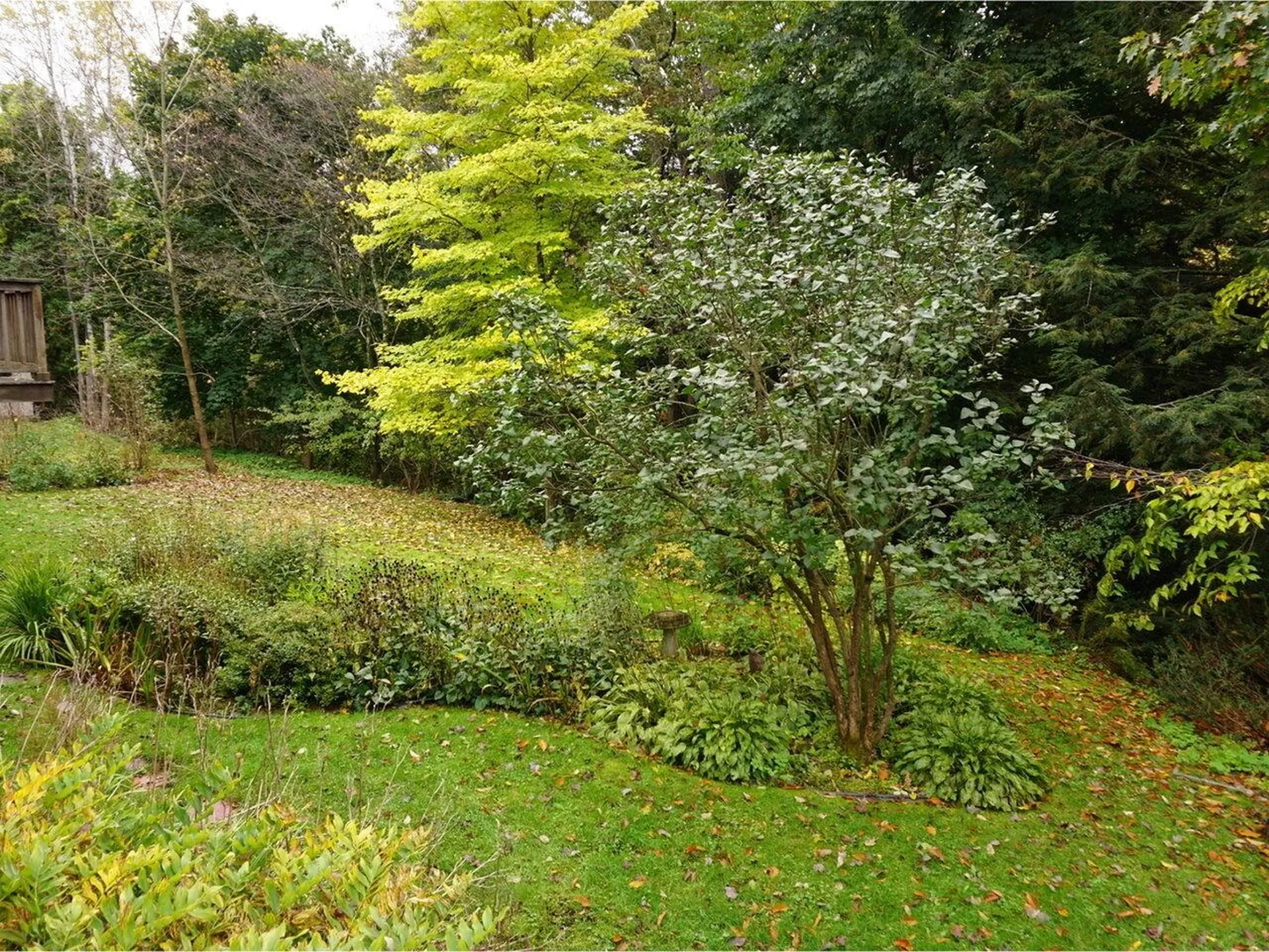 13 Deane Street South Burlington VT 05403
