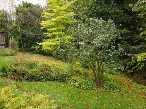 13 Deane Street South Burlington VT 05403