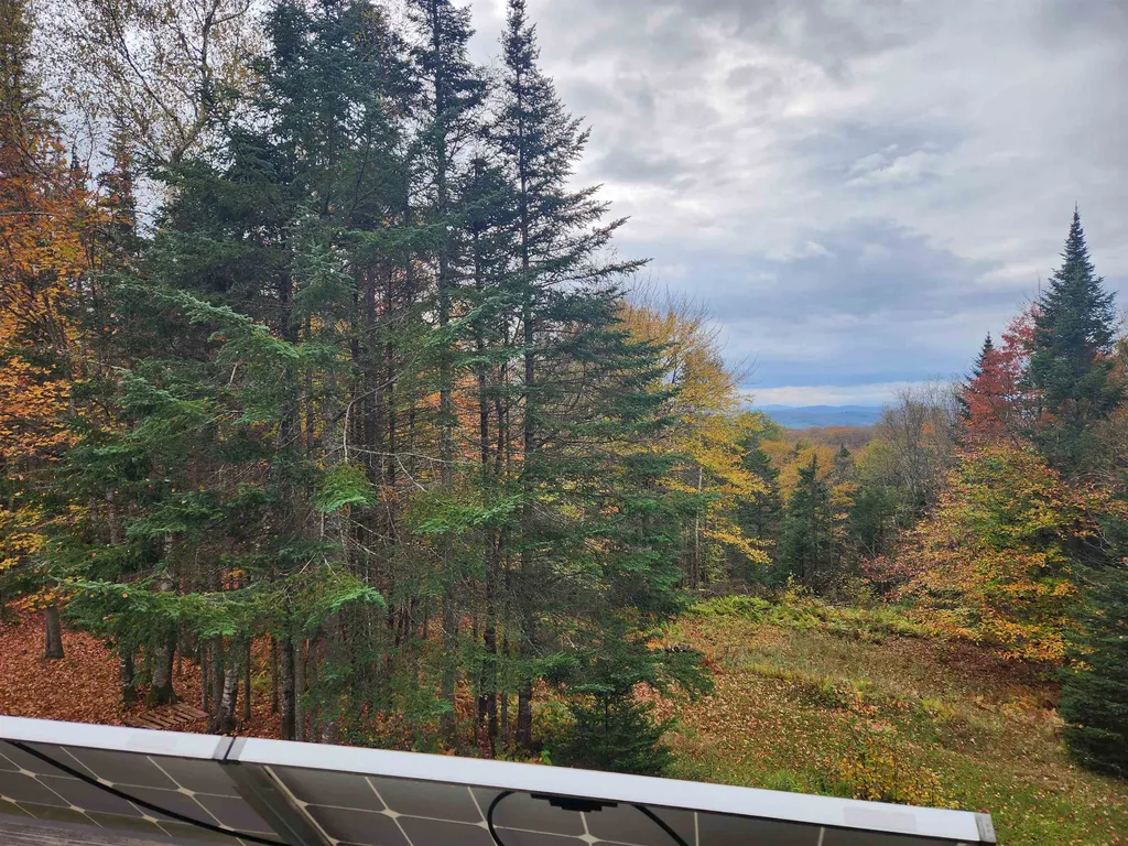 1250 Old Duke Road Walden VT 05873