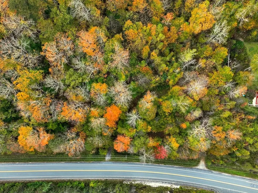 0 Route 100 Plymouth VT 05056