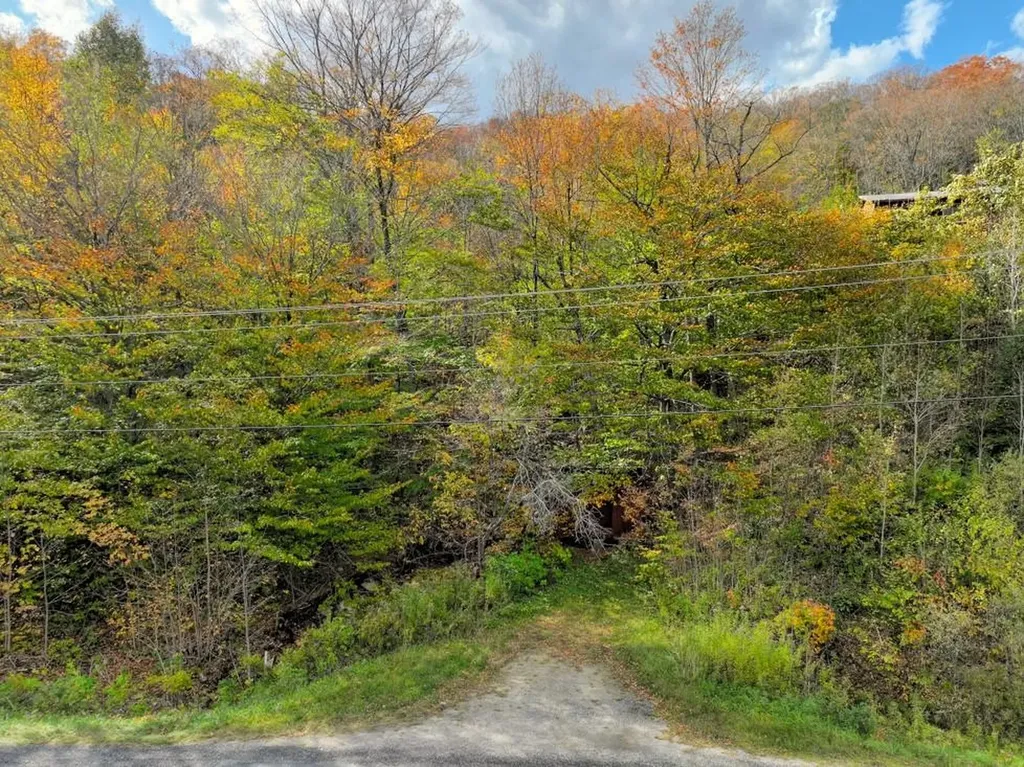 0 Route 100 Plymouth VT 05056