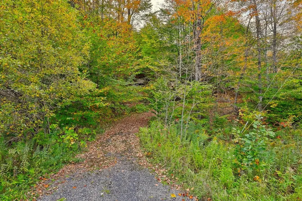 0 Route 100 Plymouth VT 05056