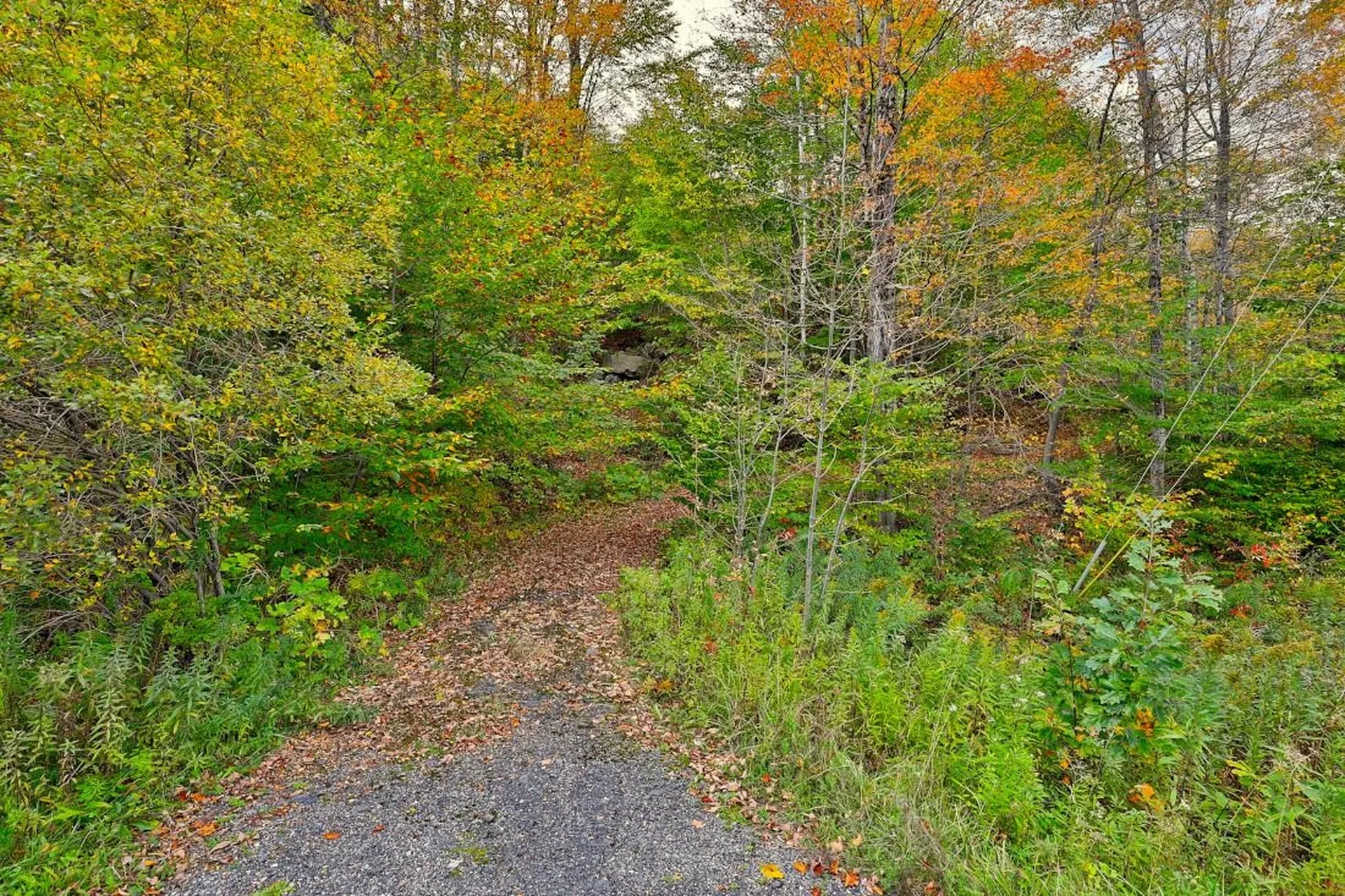 0 Route 100 Plymouth VT 05056