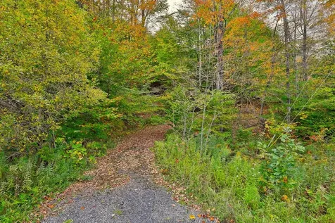 0 Route 100 Plymouth VT 05056