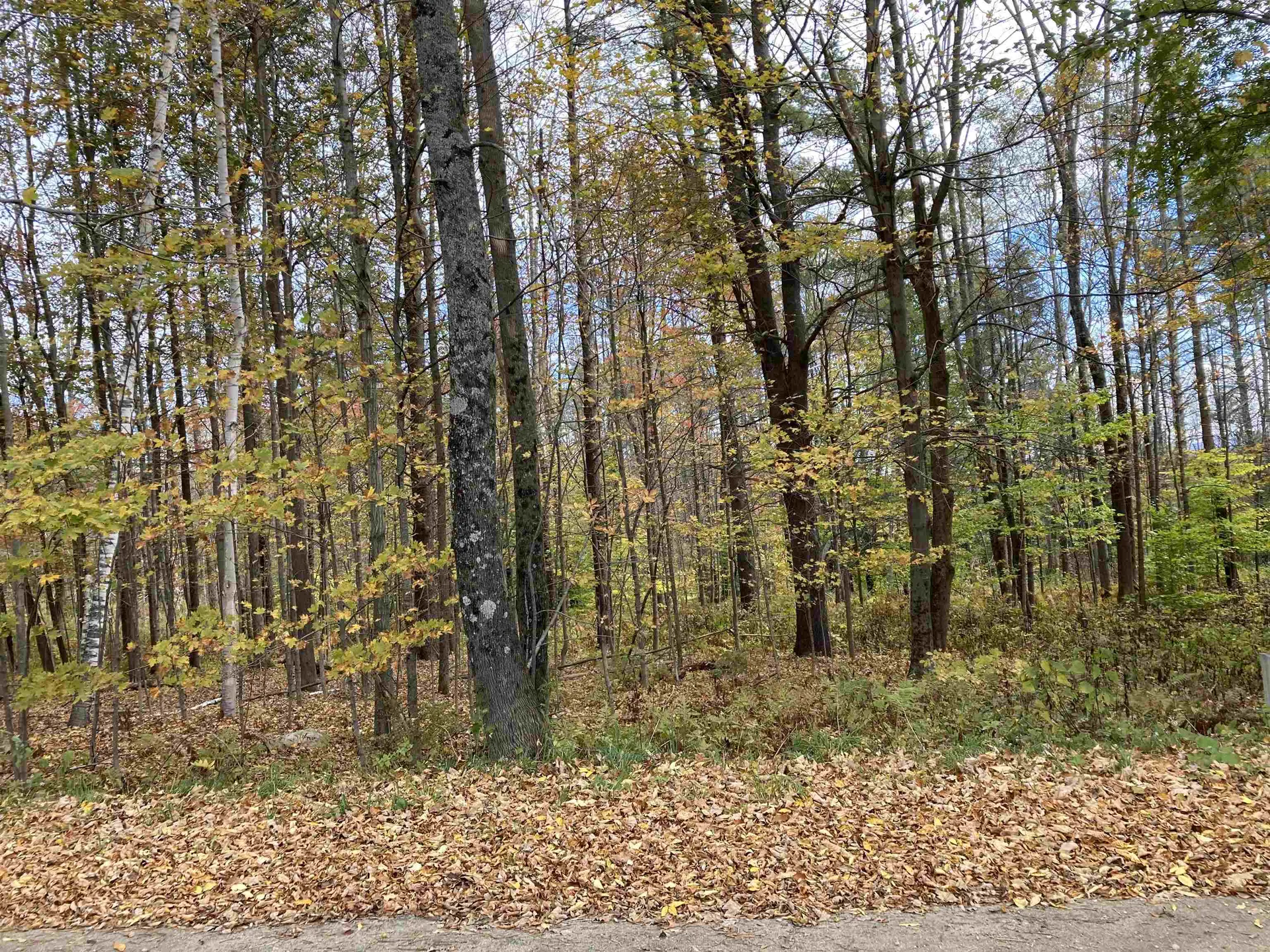 330 Route 10 Chester VT 05143