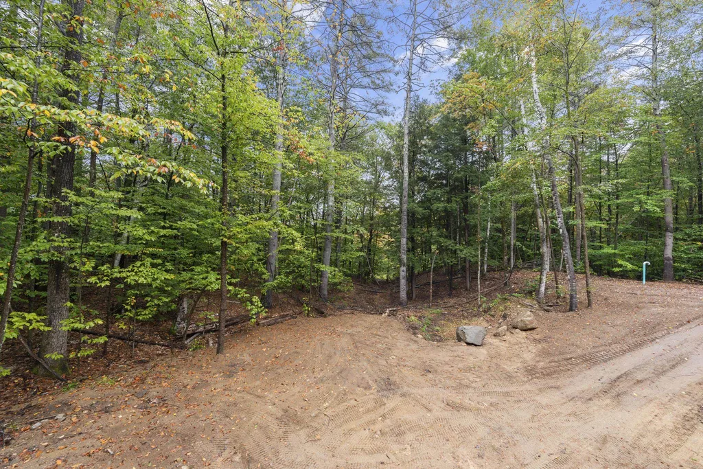 523 Cass Mill Road Alexandria NH 03222