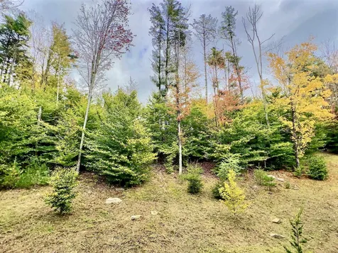 20 Morgan Drive Lebanon NH 03766