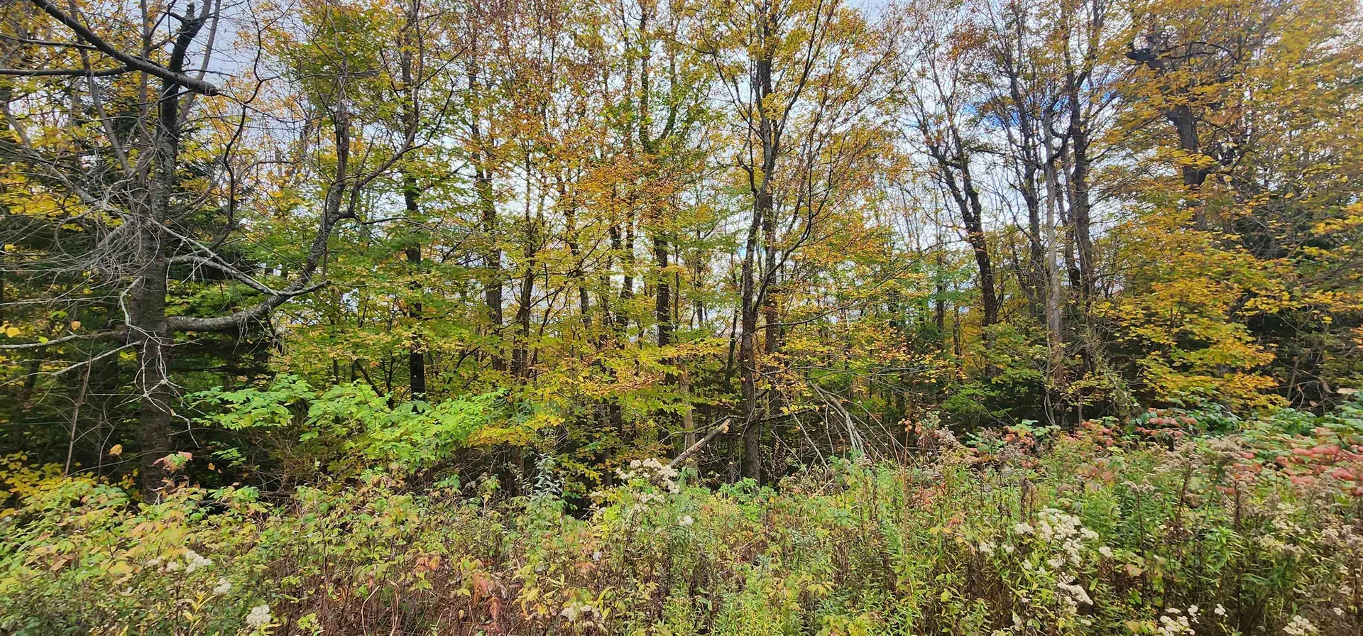 144 Nameless Road Roxbury VT 05669