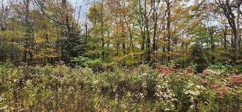 144 Nameless Road Roxbury VT 05669