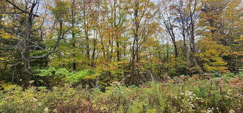 144 Nameless Road Roxbury VT 05669