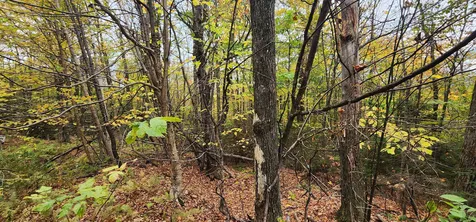 144 Nameless Road Roxbury VT 05669