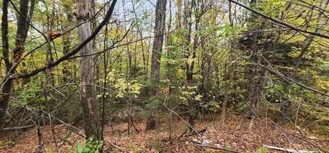 144 Nameless Road Roxbury VT 05669