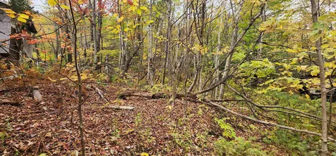 144 Nameless Road Roxbury VT 05669