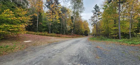 144 Nameless Road Roxbury VT 05669