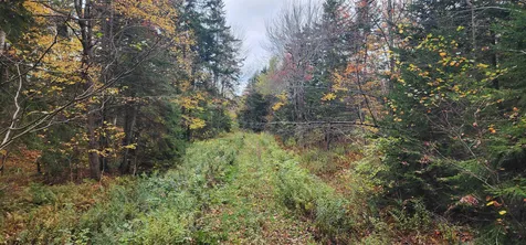 144 Nameless Road Roxbury VT 05669