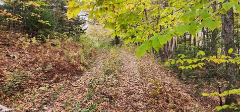 144 Nameless Road Roxbury VT 05669