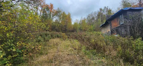 144 Nameless Road Roxbury VT 05669