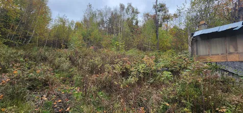 144 Nameless Road Roxbury VT 05669